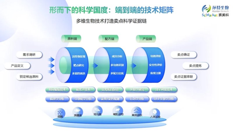 荨麻疹：一种常见的皮肤疾病现象